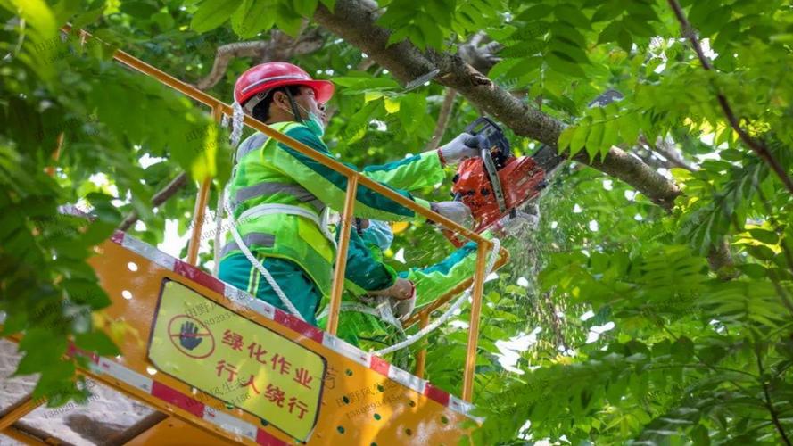 奉化市政绿化工程报价清单表模板