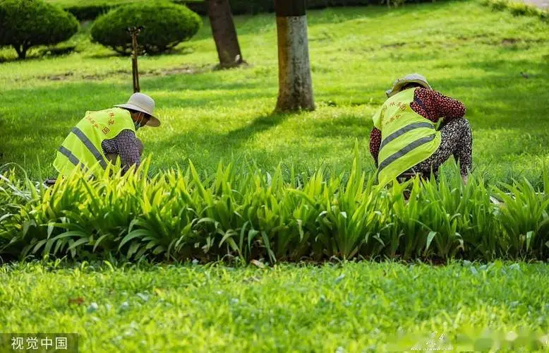 办公楼广场园林景观设计