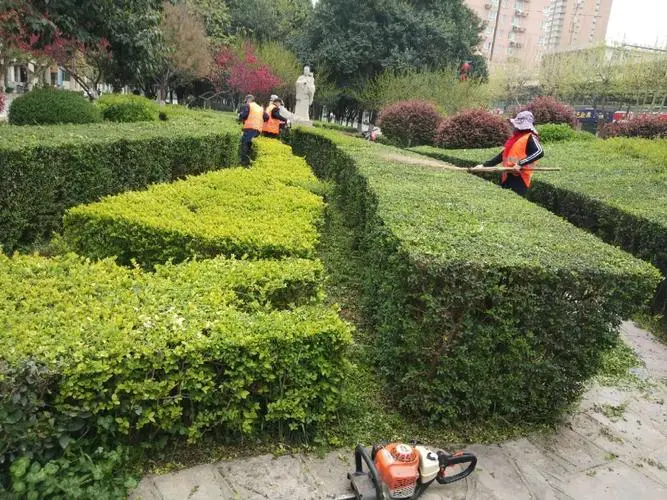 济宁园林景观绿化工程施工